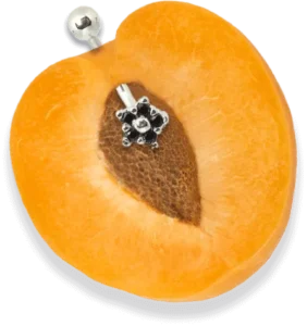 pessego v2 (1)